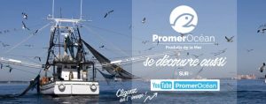 Vidéo Promerocean diffusée sur Youtube